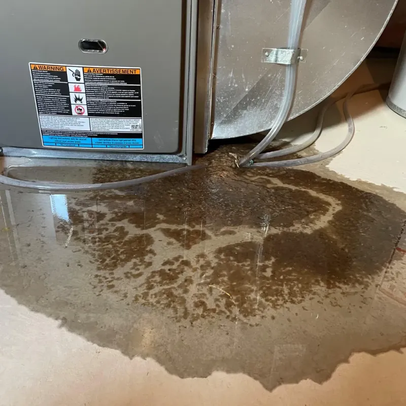 Appliance Leak Cleanup in Meadowbrook, AL